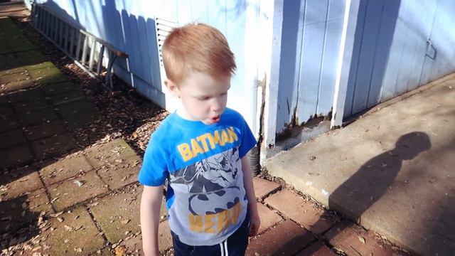 DIY CHRISTMAS CACTUS TREE! | DIY CHRISTMAS TREE! смотреть онлайн