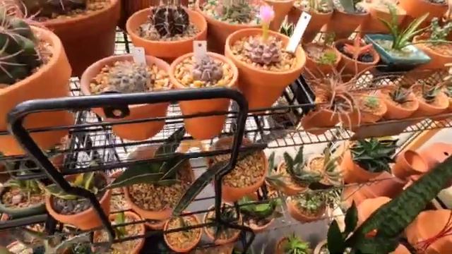 Greenhouse Tour смотреть онлайн