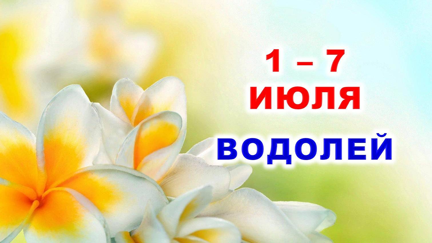 ♒ ВОДОЛЕЙ. 🏵 С 1 по 7 ИЮЛЯ 2024 г. 🌞 Таро-прогноз 🌟