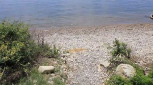 Пляж базы отдыха "Кубанец" с.Лермонтово