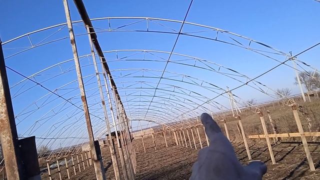 Теплица самодельная 1