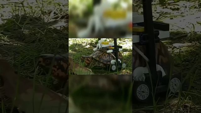 Животные Которые Обрели Новую Жизнь Благодаря Протезам!? #shorts #черепаха #животные смотреть онлайн