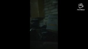 Как снять тонировку своими руками. Разтонировка авто