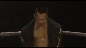 БОЕВИК  БОКСЕР