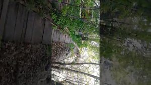 Причал Шелехметь. Самарская лука. Сотрудники самарского речного порта неадекватные.