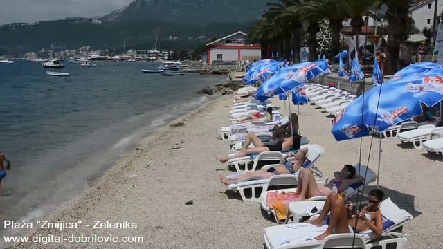 PLAŽA ZMIJICA ZELENIKA