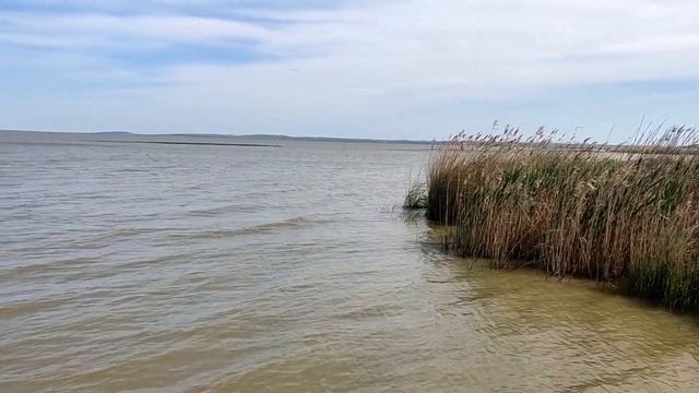 Станица Ахтанизовская Темрюкский район. Едем к лиману по улицам станицы. смотреть онлайн