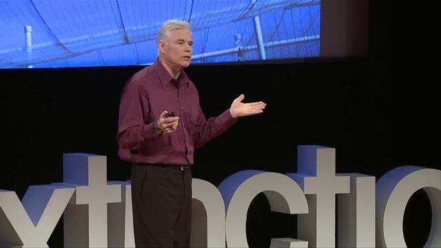 How we brought the condor back from the brink | Michael Mace | TEDxDeExtinction смотреть онлайн