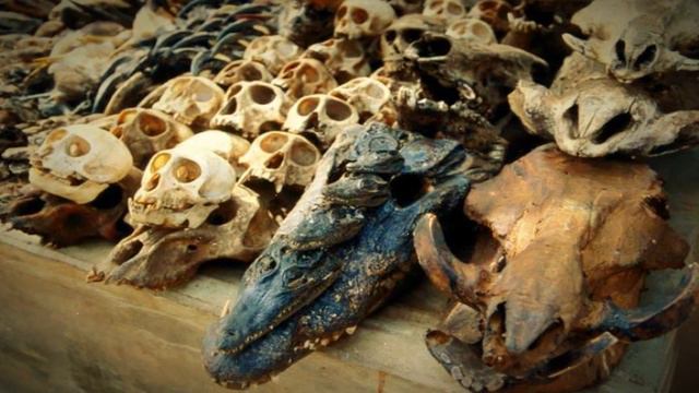 САМЫЙ СТРАШНЫЙ РЫНОК В МИРЕ. смотреть онлайн