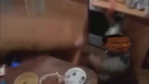 CJ упал со шкафа