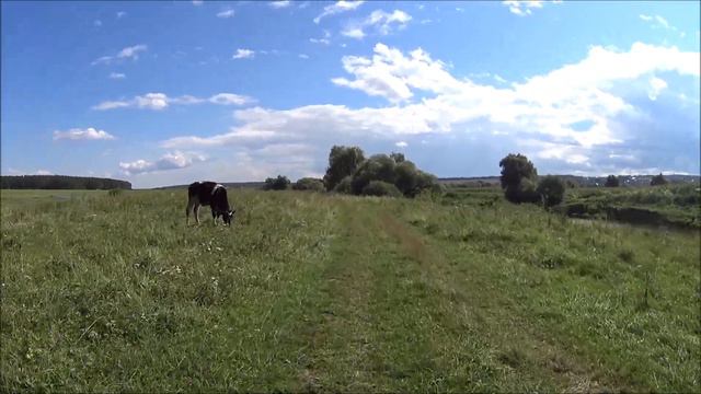 Протвино. Юрятино. Волковское. Некрасово. Троицкое. Кремёнки.