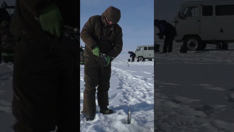 ОХОТА НА ОМУЛЯ #shorts#рыбалка#
