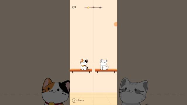 Duet Cats