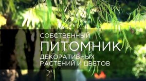 Санаторий Магадан в Сочи Лоо дендропарк субтропических культур