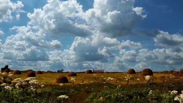 Александр Гаммер - Русское поле - читает Михаил Киселёв.mp4