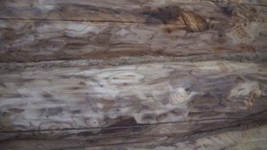 Скрытая угроза Теряем дом ? Боремся с жуками - Новая жизнь старого дома