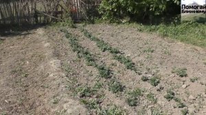 Накормили голодного дедушку.Кизлярский дед Матвей.ПОМОГАЙ БЛИЖНЕМУ!Дедушка Саша.