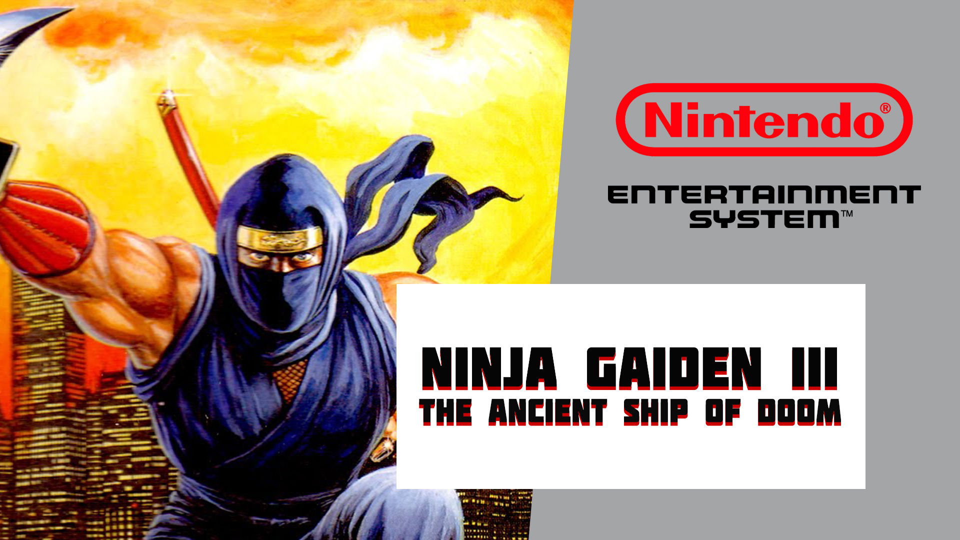 Ninja gaiden steam key фото 98