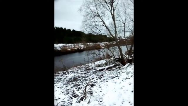 медведиха часть 1 смотреть онлайн