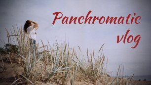 Panchromatic vlog #13 - Лонгборд, фургон, природа