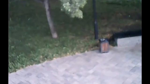 Запустил в первый раз квадрокоптер! (c камеры квадрокоптера) смотреть онлайн