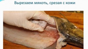 Обработка судака для фарширования Сомова Н Н
