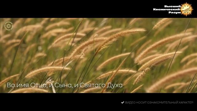 Благо-Вест ✴ Во имя Отца, и Сына, и Святаго Духа