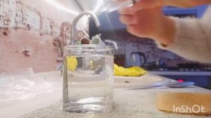 Как сделать хлеб с плесенью? Эксперимент!!!