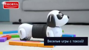 Интерактивный робот Собачка Такса (пульт с датчиком) - ZYA-A2949