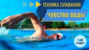 Как научиться плавать кролем? Чувство воды