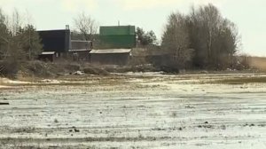 Уровень воды в Рыбинском водохранилище достиг критической отметки