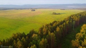 Горняки поздравляют с Днем российского флага!