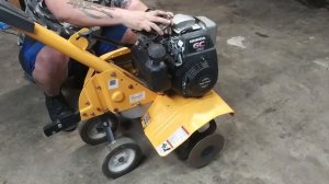 Little friend crawled in the carburetor. Cub cadet Honda GC 160 tiller repair.