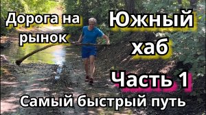 Самый быстрый путь на новый крупнейший овощной рынок «Южный Хаб» неподалёку от Батайска.