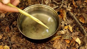 Выживание в лесу I Очистка воды в походных условиях