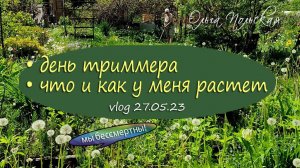Очередной удачный день, что сделано? | Vlog Дача как есть. Хроника 27.05.2023