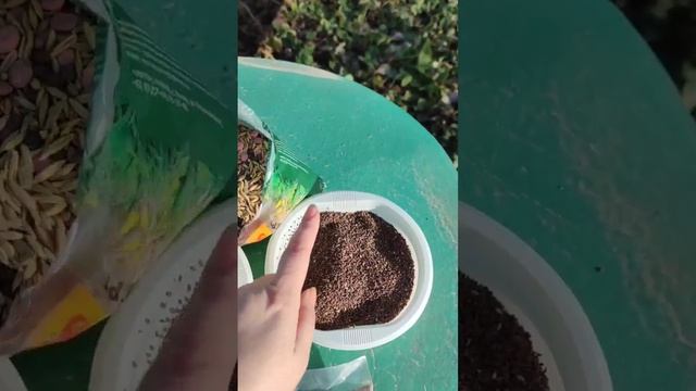 Грядки - подготовка весной