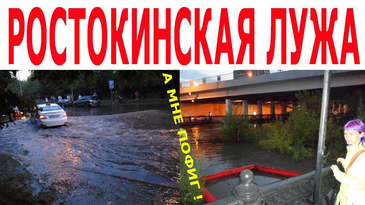 Ростокинская лужа: встреча пофигистов.