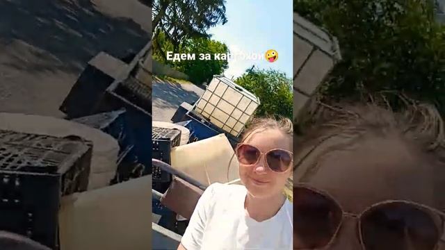 МТЗ с прицепом: едем за молодой картошечкой       #девушказарулем #мотоблок #мтз #урожай #картошка