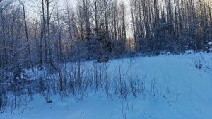 стелс капитан лонг, в первый раз на снегоходе.