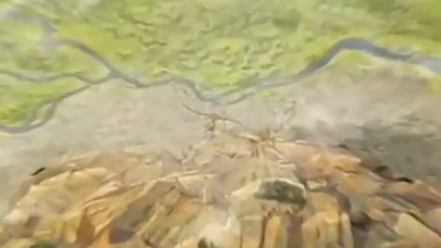 Наша Маша и Волшебный орех смотреть онлайн