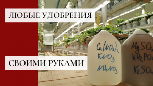 Никогда больше не покупайте удобрения. Делаем их сами!