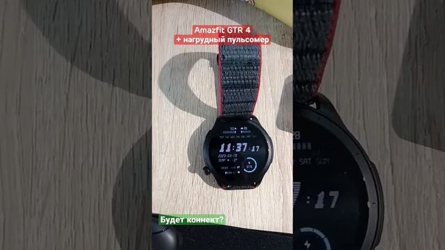 Amazfit GTR 4 + нагрудный пульсометр на велосипедную тренировку. Подружатся? #gtr4 #amazfitgts