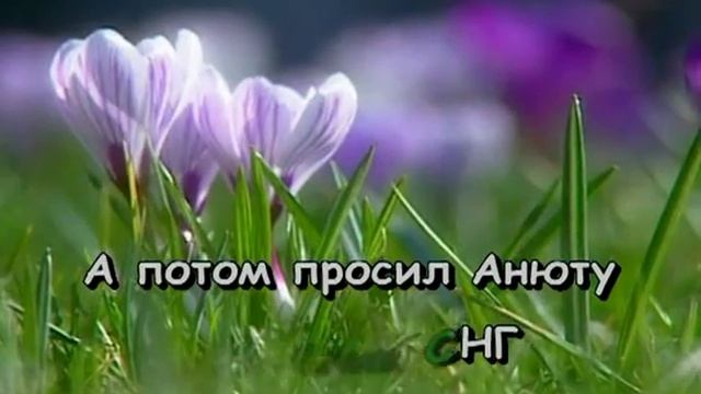 Ландыши с матом. О мама ландыши ландыши тюльпаны. Ландыши караоке. Ландыши караоке. Ландыши нормальная версия.