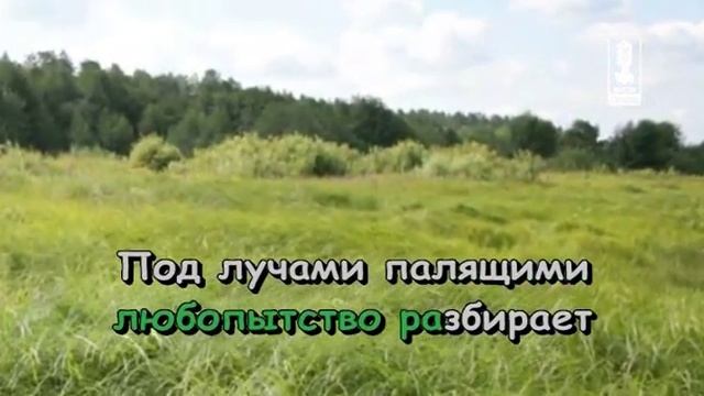 21 Pesnja ljubopytnyh Korotyschek смотреть онлайн