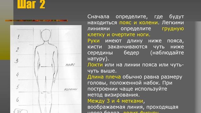 Фигура человека. Пропорции.1 курс ДХШ
