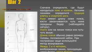 Фигура человека. Пропорции.1 курс ДХШ