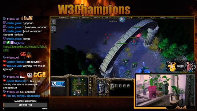 W3champions смотреть онлайн