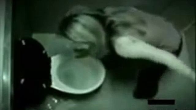 Прикольное видео.Гимнаст