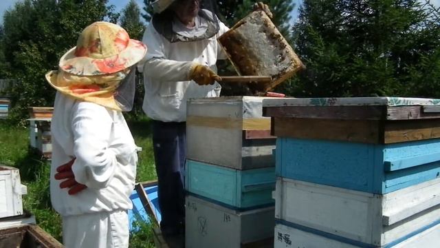 Пора мед качать смотреть онлайн